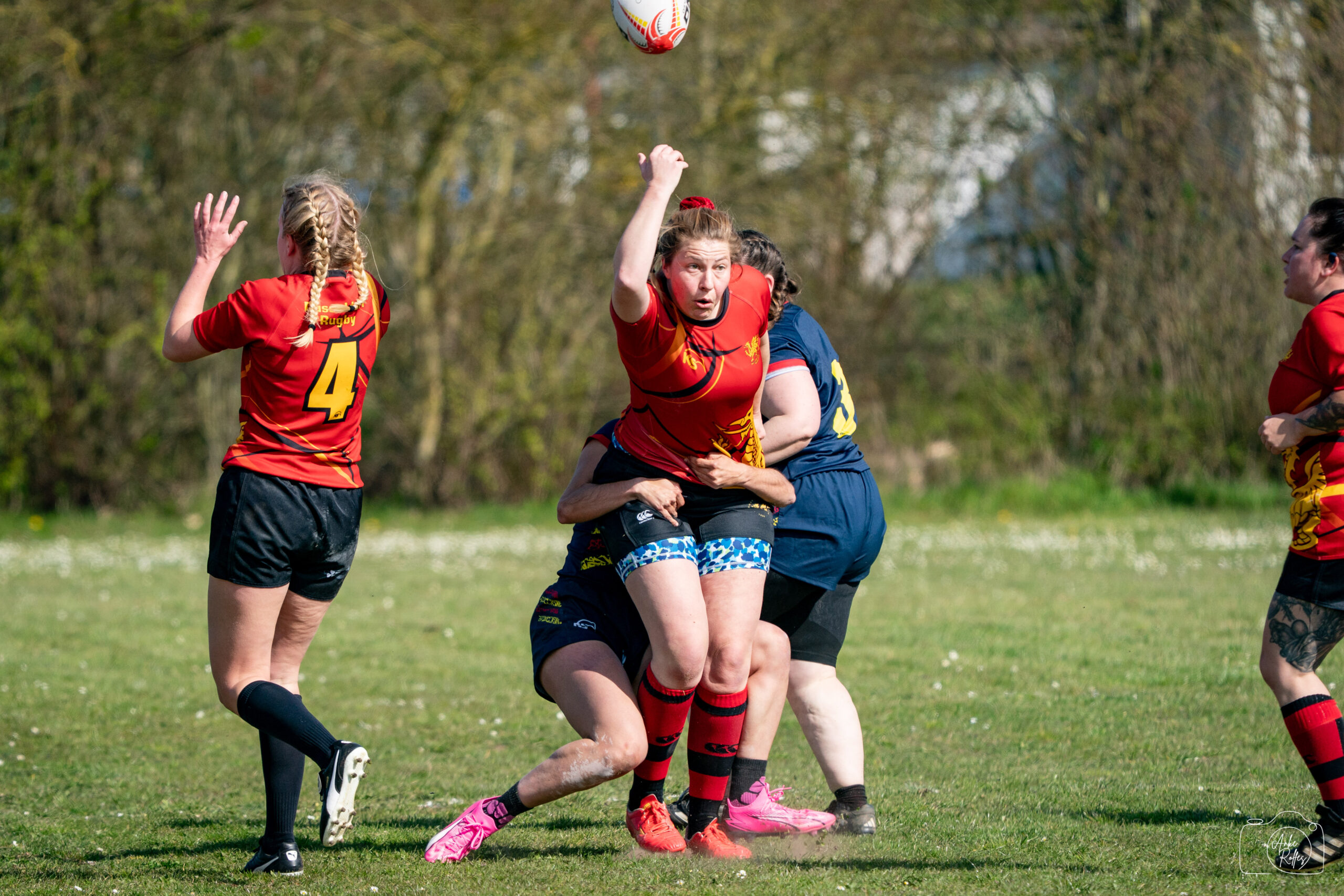 20250412-DSC05435