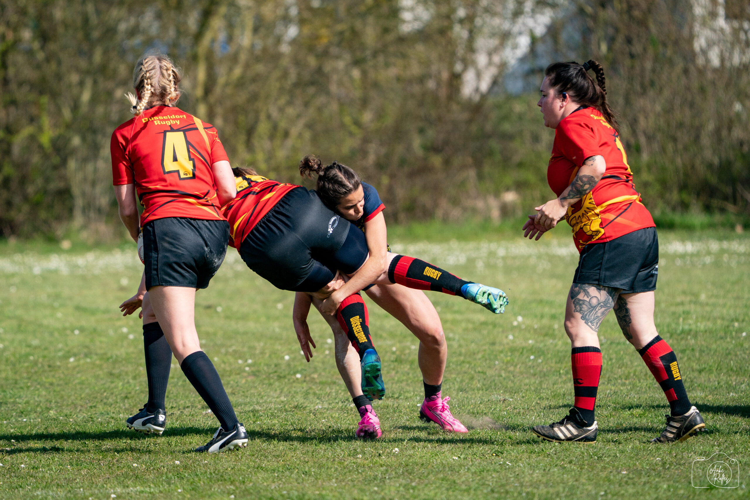 20250412-DSC05460