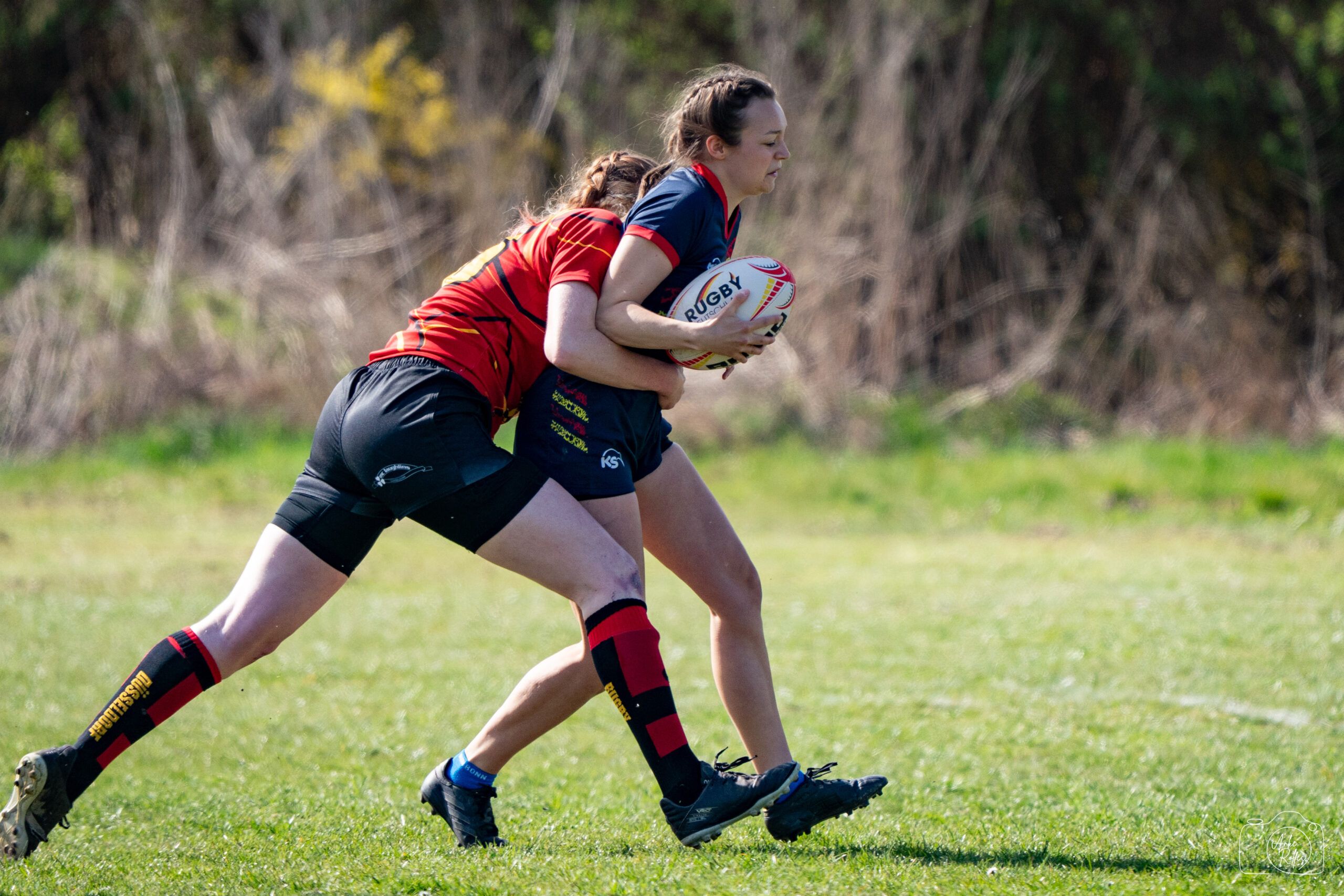 20250412-DSC05831
