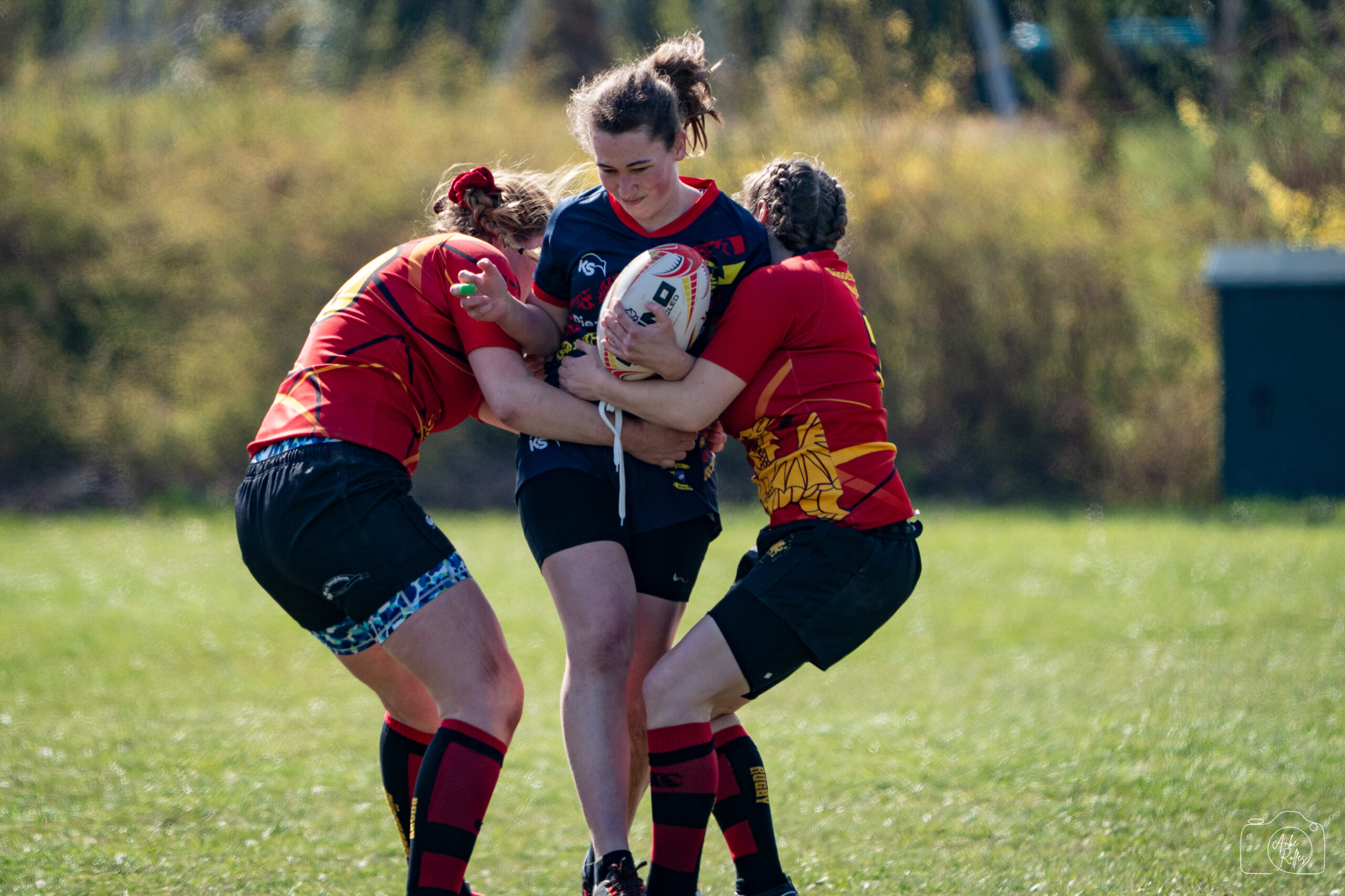 20250412-DSC05870