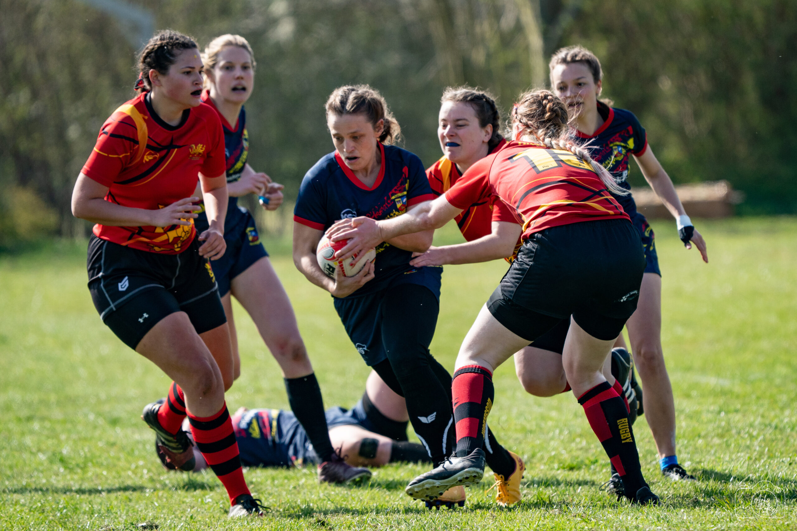 20250412-DSC05925