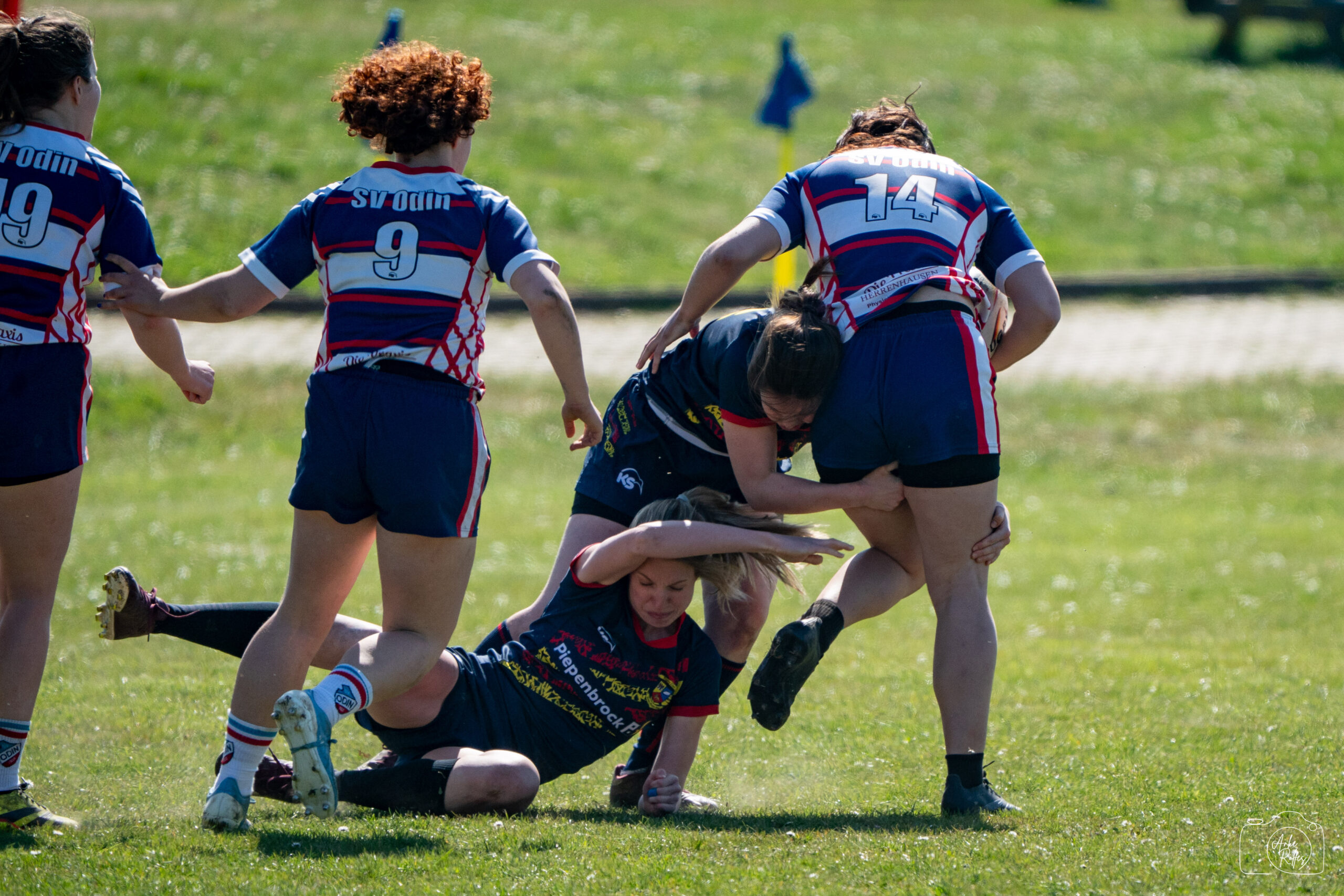 20250412-DSC06208