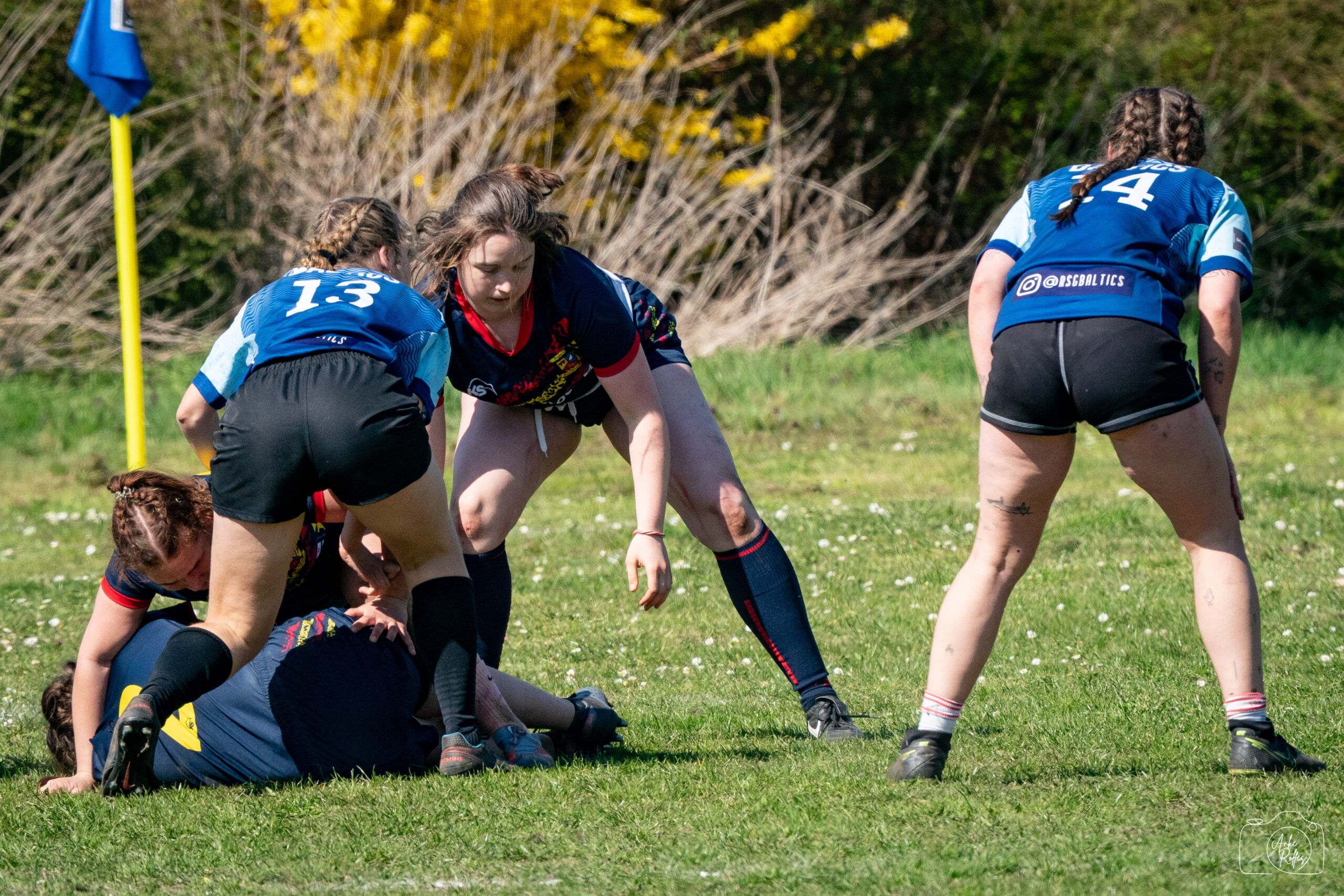 20250412-DSC07353