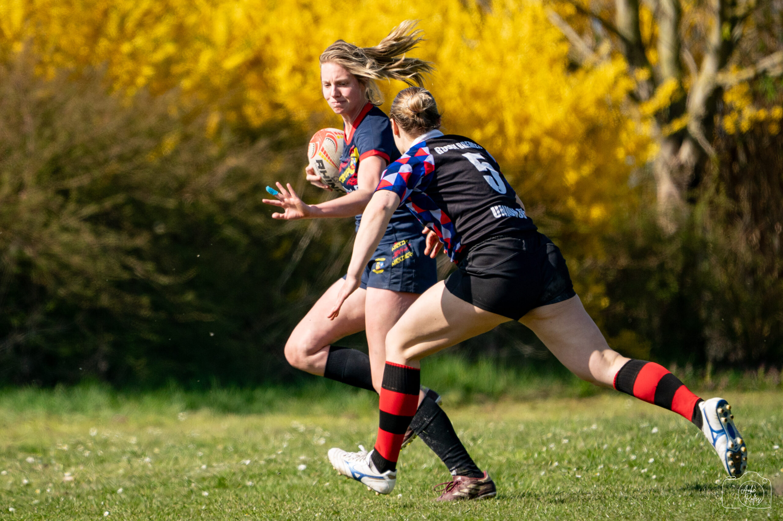 20250412-DSC08178