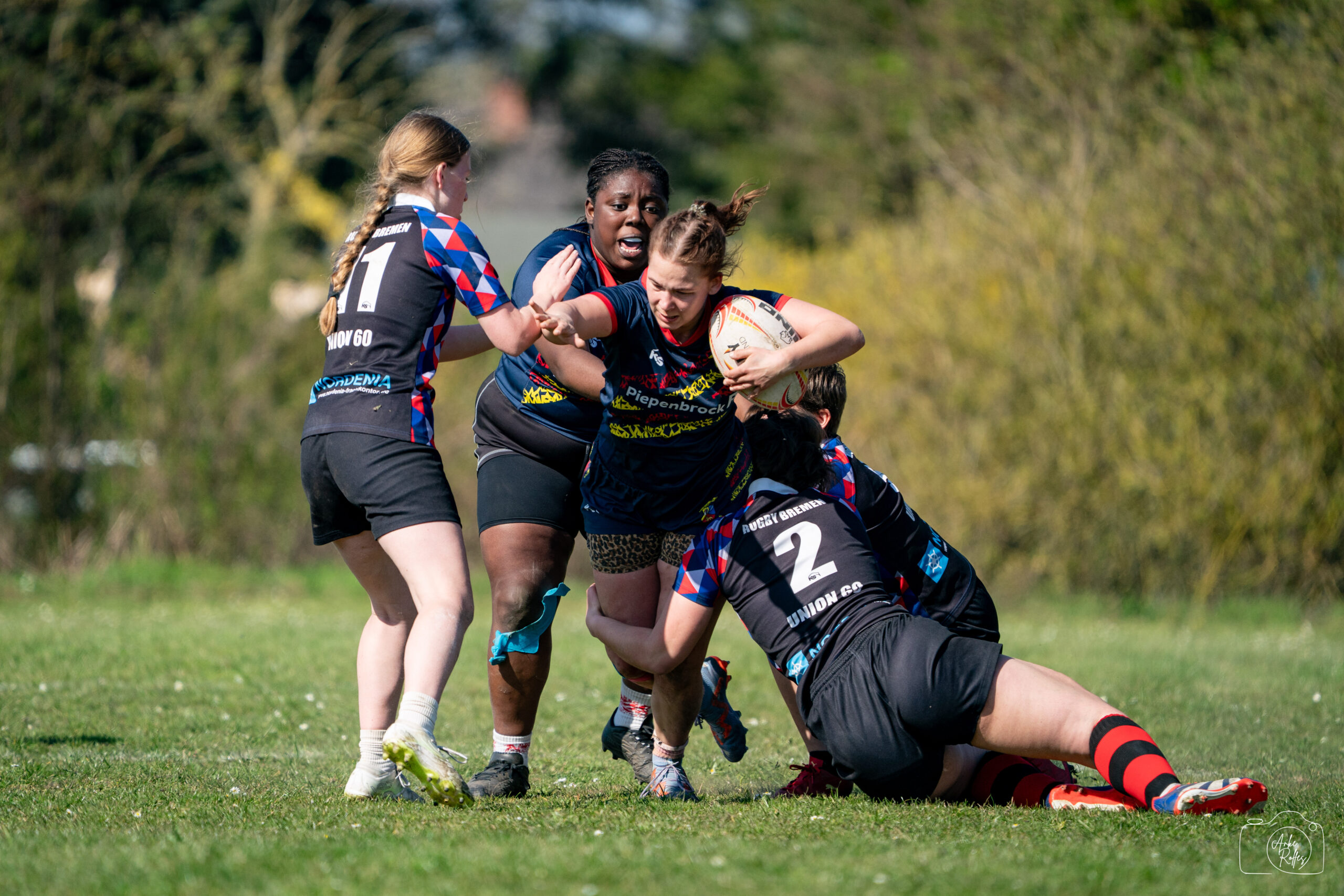 20250412-DSC08329