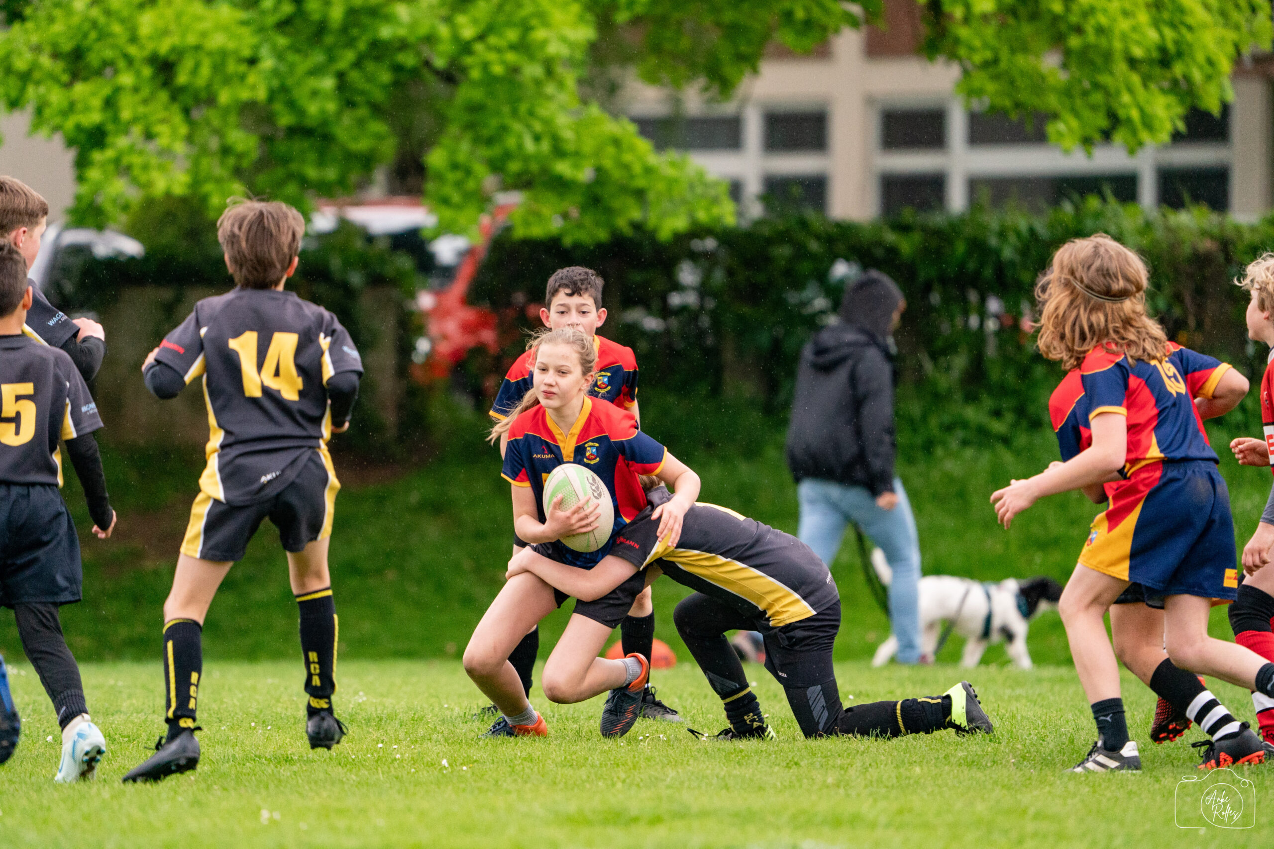 20250504-DSC02680