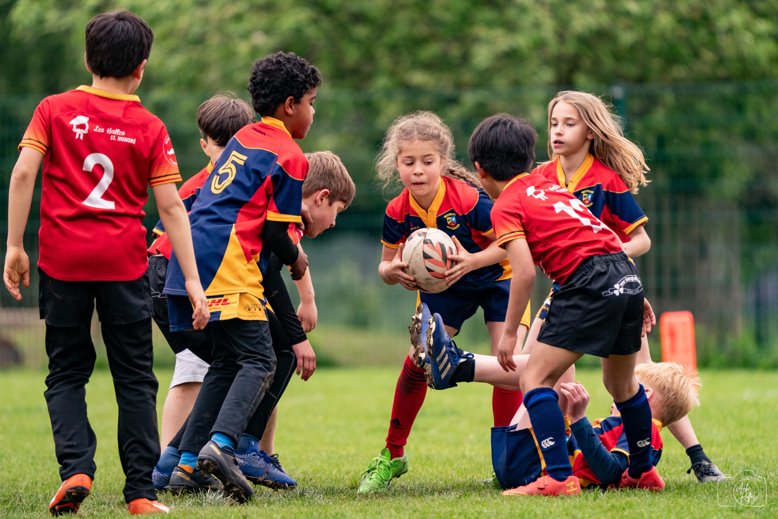 20250504-DSC03214