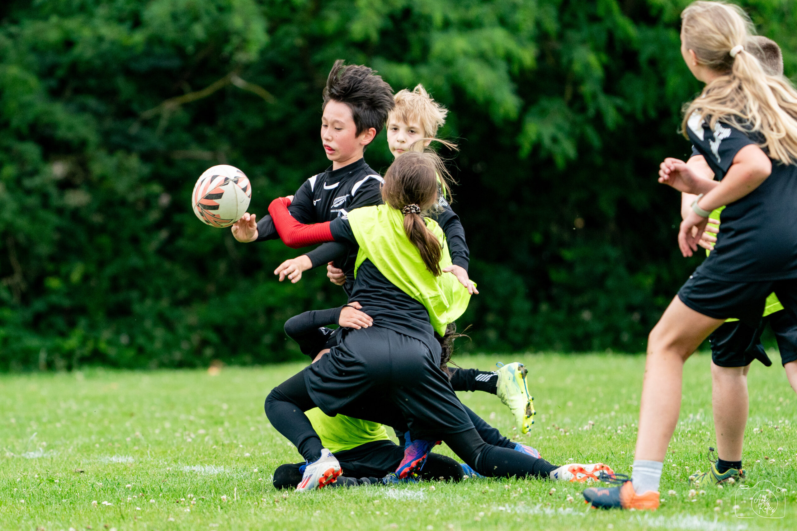 20250607-DSC08433