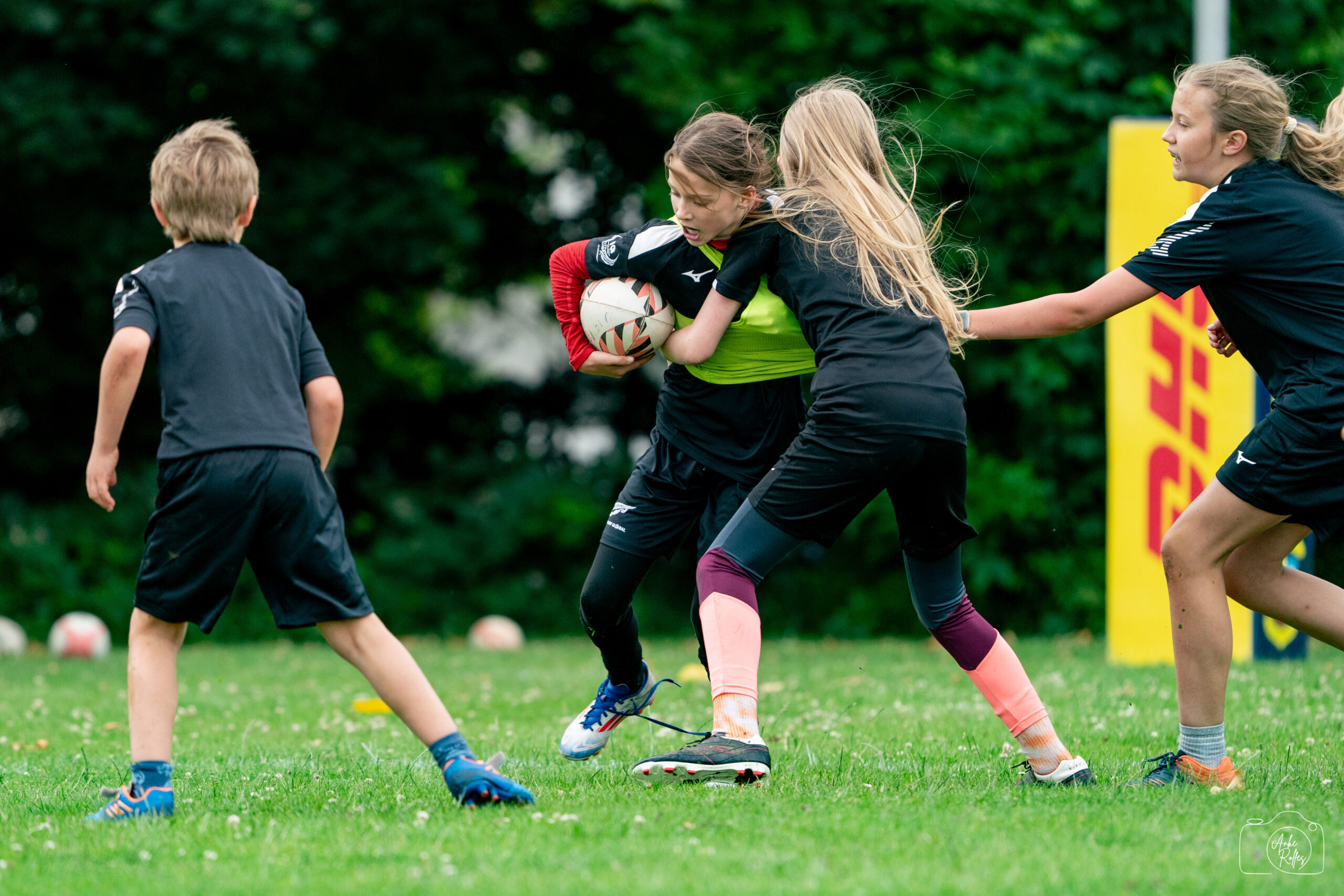 20250607-DSC08469