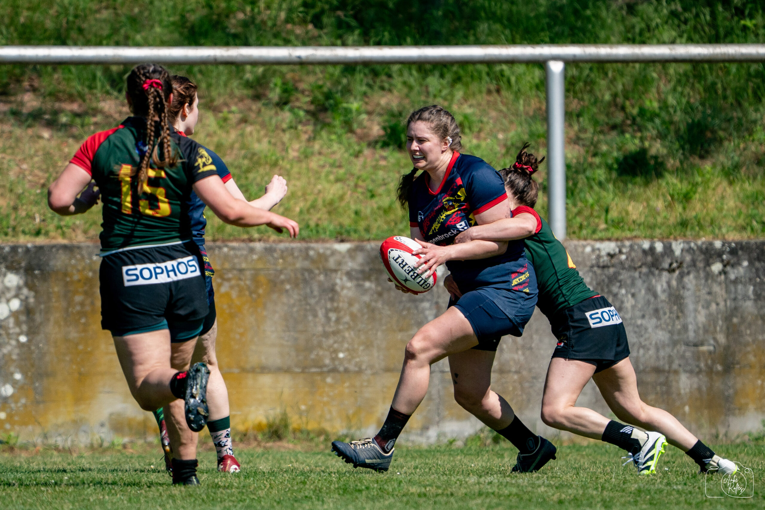 20260509-DSC00161
