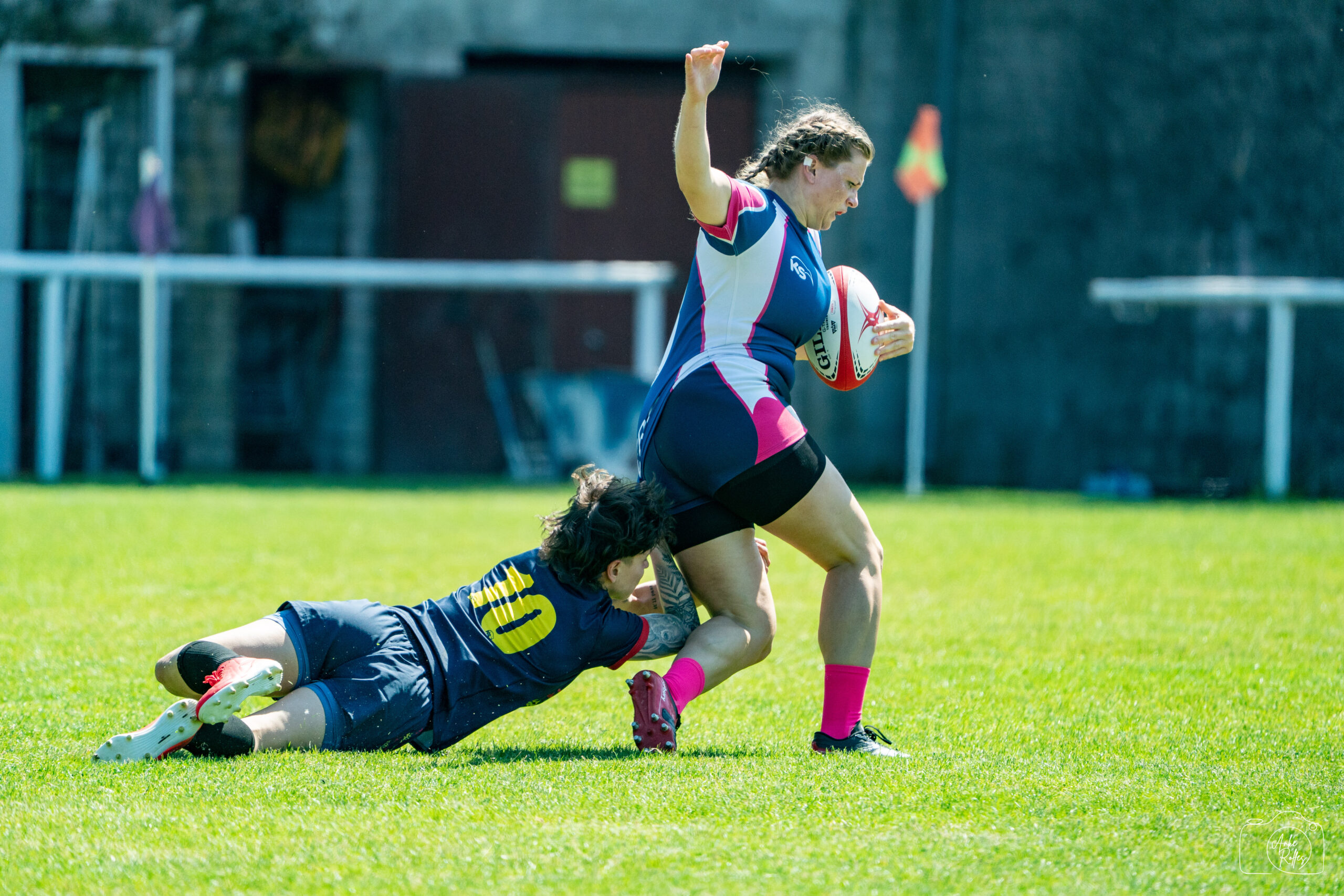 20260509-DSC00310